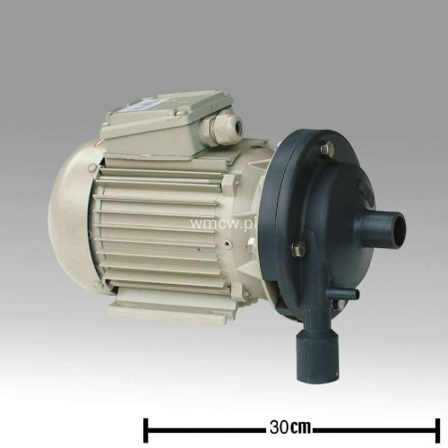 7038-2000-660.jpg