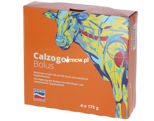 calzogol.png