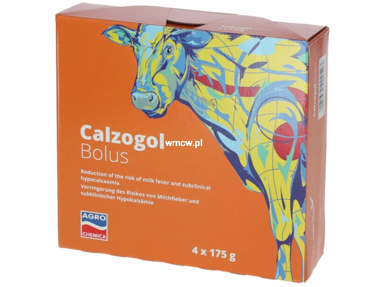 calzogol.png