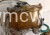 1770624361137_cr.jpg