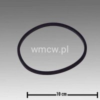 Pierścień uszczelniający 102x110x4 (00072754700)