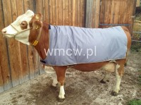 Derka dla krów 140x155cm (1546)