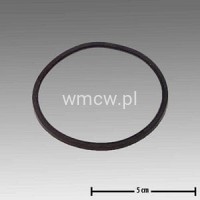 Pierścień uszczelniający kolektor 200 ccm (00078001010)