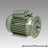 Silnik indukcyjny trójfazowy 0,55kW (70382206149)