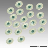 Zestaw membran D 53,3 (20 x 7161-1702-000) (71619926050)